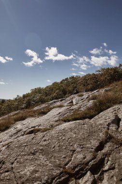 Camden, Maine 'deki Camden Hills Stat Park' ta Battie Dağı 'nın zirvesinden Penobscot Körfezi' ne bakan.