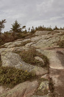 Maine 'deki Çöl Adası' ndaki Acadia Ulusal Parkı 'ndaki Cadillac Dağı' nın zirvesinde granit kaya boyunca yürüyüş yapmak..  
