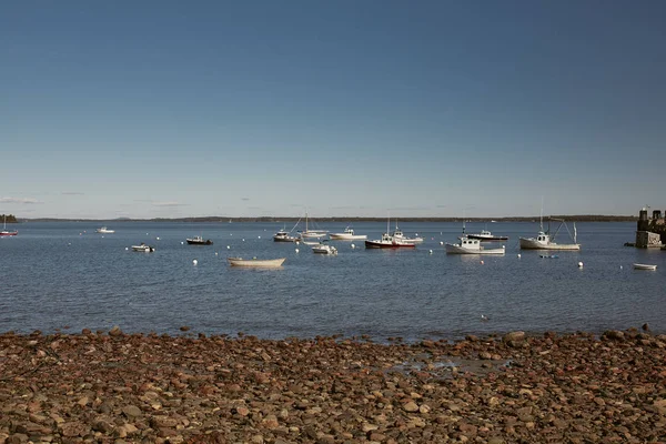 Hummer Som Fångas Utanför Penobscot Bay Lincolnville Maine — Stockfoto