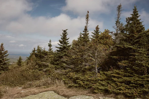 Wandelen Door Struikgewas Langs Granieten Ondergrond Top Van Cadillac Mountain — Stockfoto