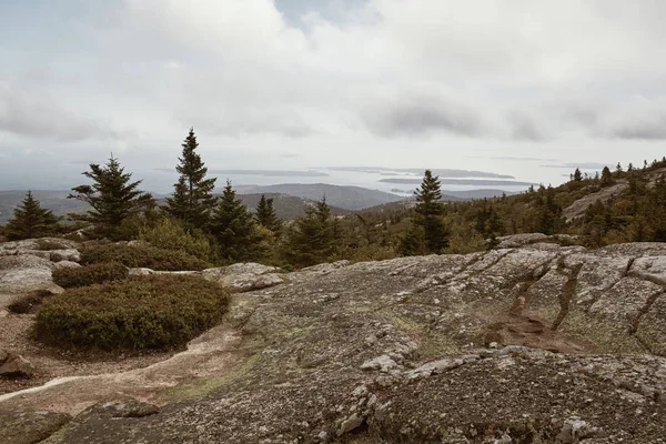 Wandelen Langs Granieten Ondergrond Top Van Cadillac Mountain Acadia National — Stockfoto