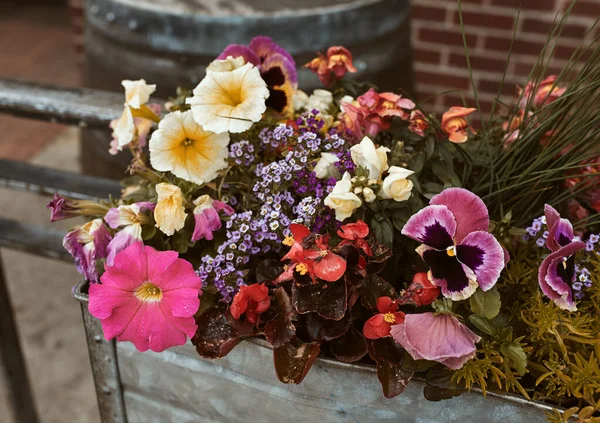 Metal Planter Box Filled Variety Flowers Pearl Street Mall Boulder — Stock Photo, Image