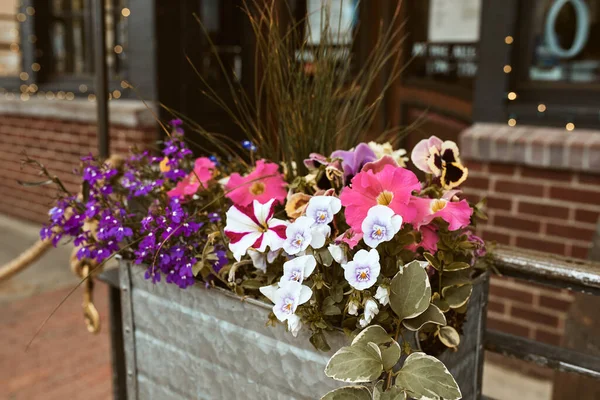 Pflanzkasten Aus Metall Gefüllt Mit Einer Vielzahl Von Blumen Entlang — Stockfoto