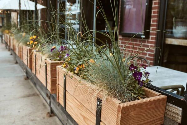 Wooden planter box filled with a variety of plants and flowers along Pearl Street Mall.  Boulder, Colorado, USA