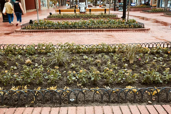 Boulder Colorado Mai 2020 Parkbänke Und Blumenbeete Entlang Der Pearl — Stockfoto