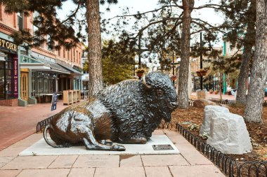 Boulder, Colorado - May 27th, 2020:  Bronze Buffalo statue by artist Stephen LeBlanc on display at Pearl Street Mall in Boulder County.   clipart