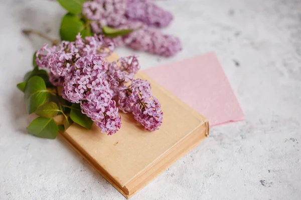lilac branch and an old book on a gray background, postcard