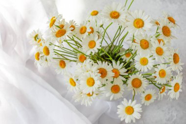 Vazoda bir buket papatya