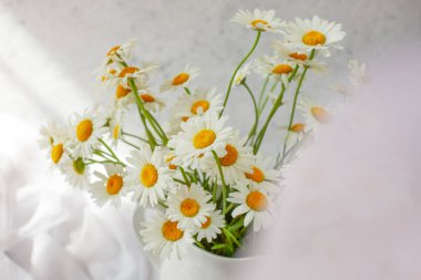 Vazoda bir buket papatya