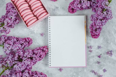 Beyaz arka planda pembe şakayıklar ve leylak çiçekleri. en üstteki görünüm.