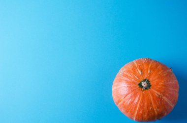 Turuncu kabak mavi bir arka plan düz yatıyordu