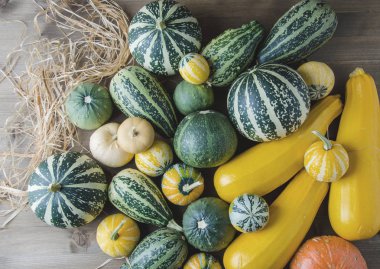 Ahşap bir arka plan üzerinde çeşitli şekillerde (yuvarlak ve dikdörtgen), küçük ve büyük kabaklar yalan. Sağda sarı uzun kabak ve turuncu kabak vardır.