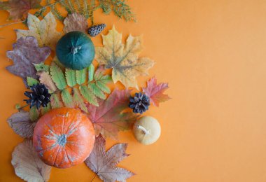 Kabaksonbahar kompozisyon, akçaağaç yaprakları, dağ külü ve meşe turuncu bir arka plan üzerinde, düz yatıyordu