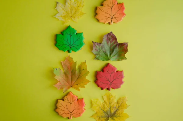 Autumn leaves and gingerbread cookies in the form of maple leaves on a yellow background.