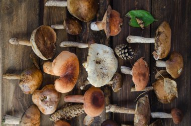 Farklı orman mantarları eski tahtalarda yatıyor. Ortada beyaz bir yumru yatıyor. Mantarlar arasında köknar konileri yatar. Görünüm yatay. Düz yatıyordu.