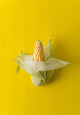 Sarı arka planda yapraklarla açılmış mısır koçanı var. Dikey arkaplan, kopyalama alanı
