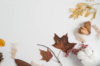 Beyaz arka planda farklı ağaçların sonbahar kuru malzemelerinin yerleşimi. Boşluğu, düzlüğü, sonbahar çerçeve kavramını kopyala