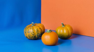 Farklı renkte balkabakları, turuncu ve yeşil renkte, mavi ve turuncu arka planda, kopya alanları, minimalizm konsepti ve sonbahar soyut arka planı, seçici odak noktası ile üç boyutlu dururlar.