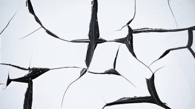 Bu, siyah çatallı, beyaz, kuru bir duvarın harika bir soyutlaması..