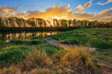 Foxton Yeni Zelanda nehri kıvrımlı ahşap iskele ıslak çimen bitkilerinin üzerinden suya doğru yüzüyor..