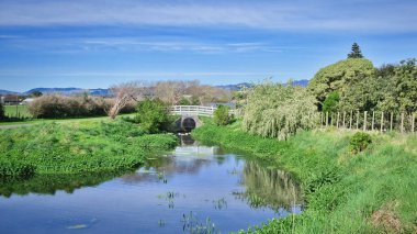Wonderful stream pond area at Kowhai Park Levin, New Zealand.