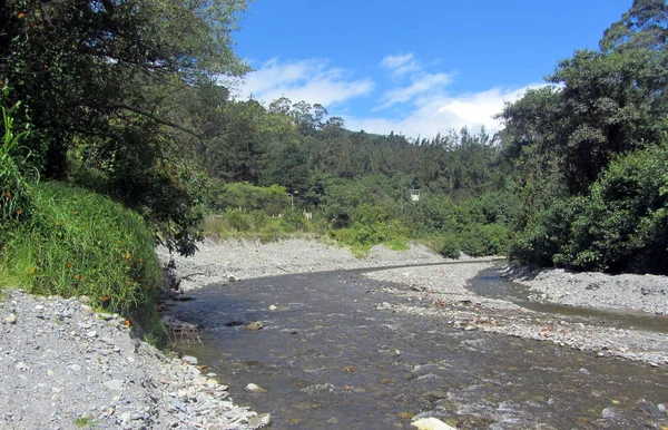 Ecuador, Loja. Paisaje con bosque y un río en frente . —  Fotos de Stock