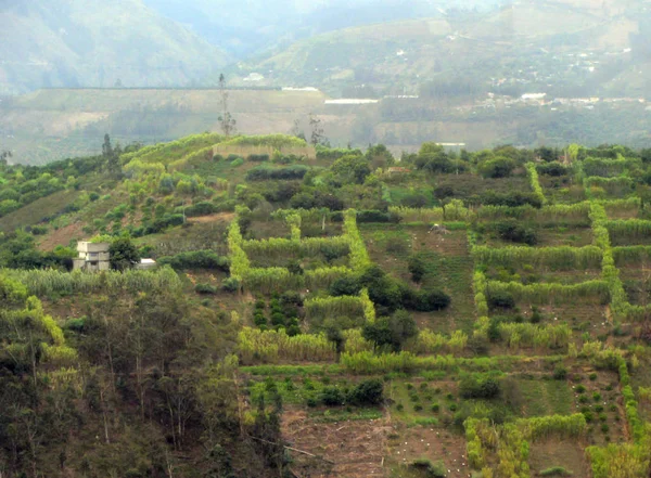 Plantaciones de frutas y hortalizas en Tungurahua, Ecuador . — Foto de Stock