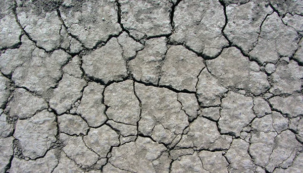 Cracks in the dried soil in arid season as a texture. Drought concept. — Stock Photo, Image