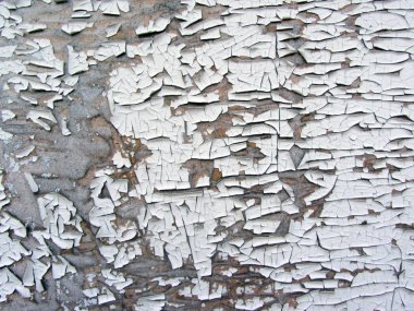 Wood background texture with old paint peels.