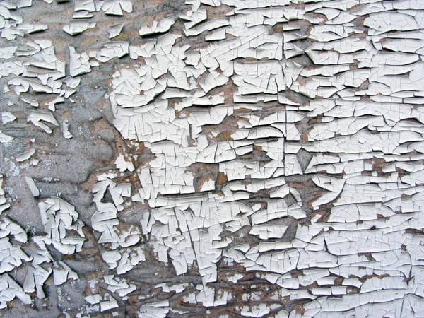 Dřevěné pozadí textury se starými malířskými slupkami. — Stock fotografie