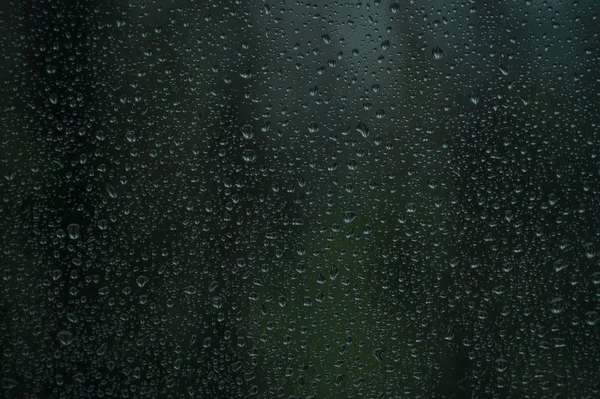 Abstract rain drops on window glass with blur green tree background — Stock Photo, Image