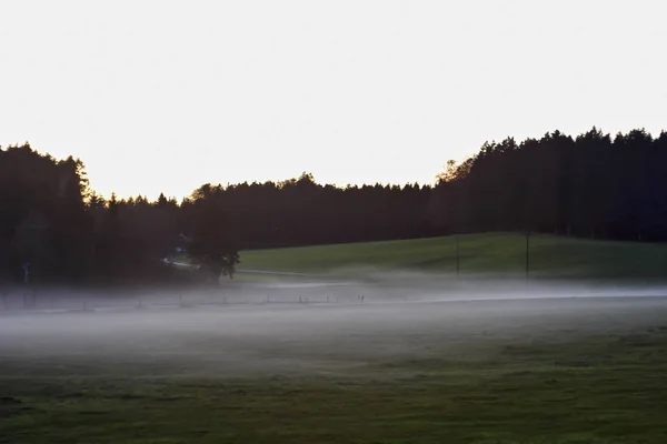 Bodennebel im Spätsommer über Wiesen und Kuhweiden — Stockfoto