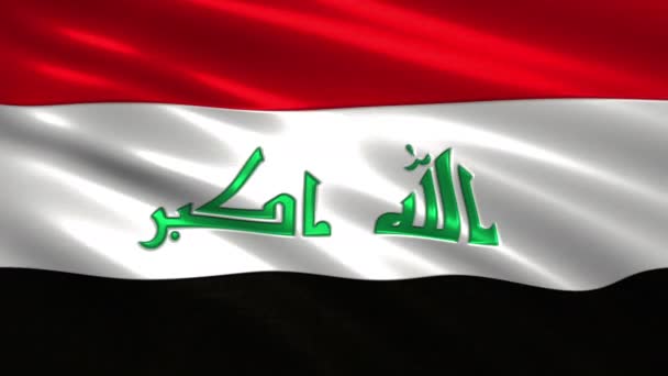 Charmante Animatie Vlag Van Irak Zijde Schaduw — Stockvideo