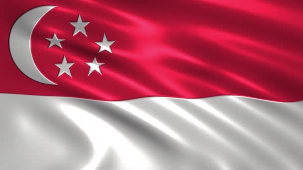 Animasyon Bayrağı Singapur Ipek Gölge Büyüleyici — Stok video