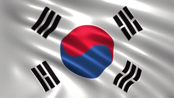 Charmante Animatie Vlag Van Zuid Korea Zijde Schaduw — Stockvideo