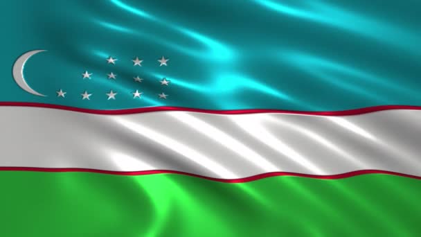 Charmante Animatie Vlag Van Oezbekistan Zijde Schaduw — Stockvideo