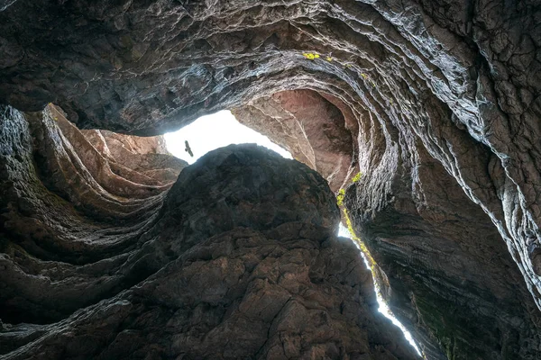 black eagle flying in canyon