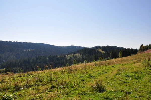 Terreno montagnoso con prato verde — Foto Stock