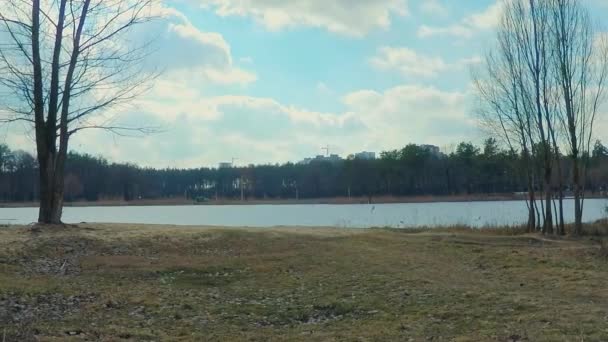 Horské jezero s tyrkysovou vodou a zelenými stromy. Odraz ve vodě. Krásná jarní krajina s horami, lesem a jezerem. — Stock video