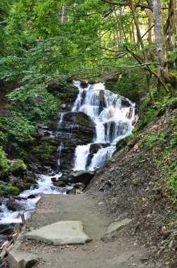 şelale orman kayalarda