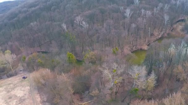 Aterragem perto de um rio na floresta no início da primavera — Vídeo de Stock