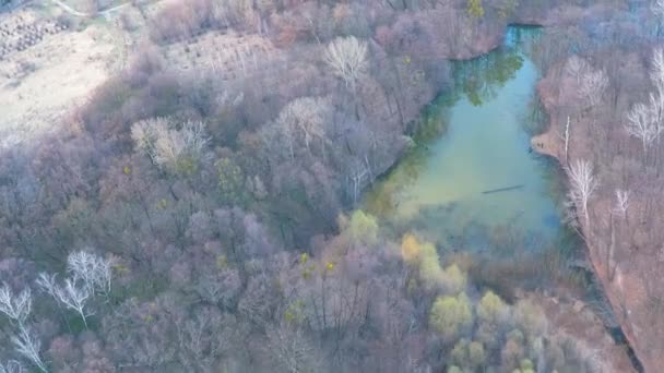 Flying over the river in the forest near the field — Stock Video