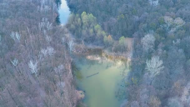 Політ над річкою в лісі біля поля — стокове відео