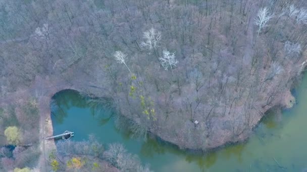 Flying over the river in the forest near the field — Stock Video