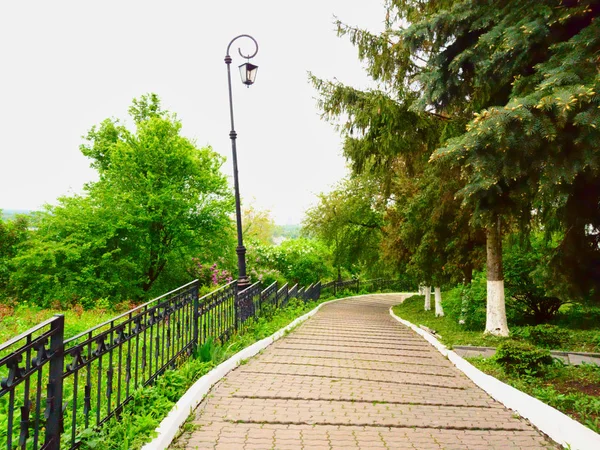 Los caminos sinuosos en el parque de la ciudad de Kiev-Pechersk Lavra. Abeto verde, luces originales y arbustos verdes en macizos de flores . — Foto de Stock