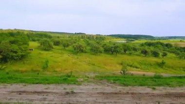 Tepeler ve ormanile güzel bir manzara üzerinde yüksek hızlı tren manzarası. Arabanın penceresinden manzara, otobüs, tren. Güneşli bir günde trenden yolculuk