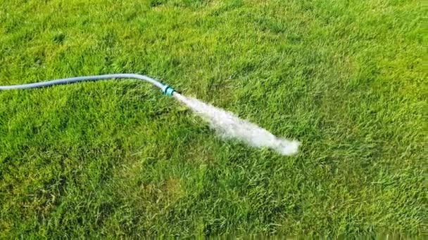 4K gräsmatta sprinkler på en solig dag — Stockvideo