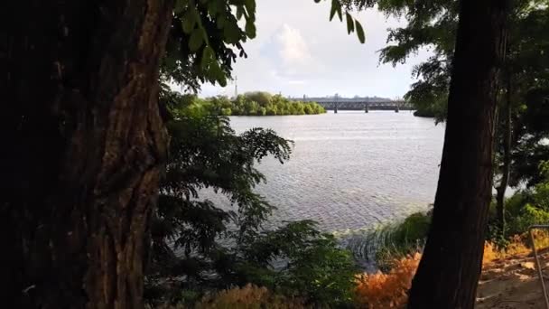 Θέα στον ποταμό Δνείπερο από την υψηλή όχθη, εντοπισμός που γυρίστηκε πέρα από το δέντρο. — Αρχείο Βίντεο