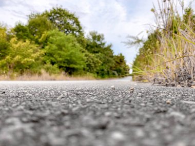 Bir ağaçtan aşağıya doğru bakan yol mesafeye doğru.