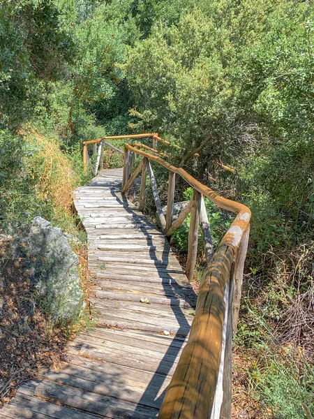 Tangga kayu di hutan liar Gunung Athos — Stok Foto